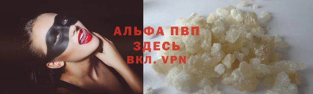 spice Арсеньев