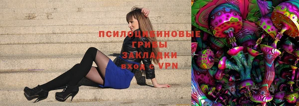 МДПВ Аркадак