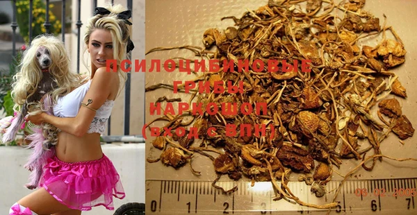 МДПВ Аркадак