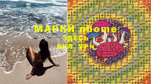 spice Арсеньев