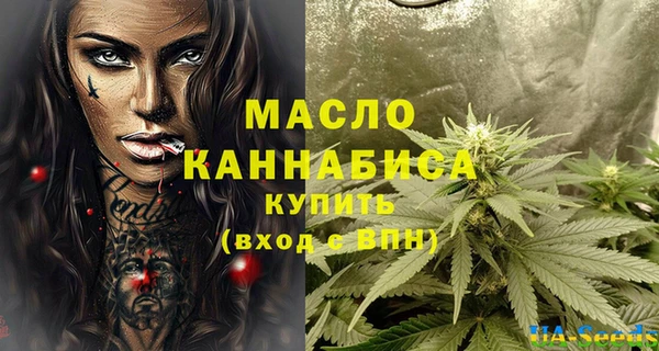 индика Армянск
