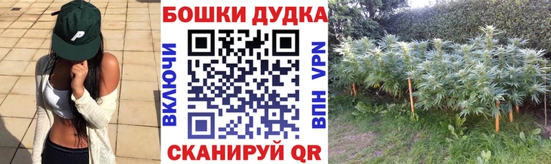 Бошки марихуана Bruce Banner  Междуреченск 
